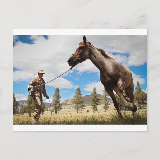 Horse Ranch Farm Destiny Nature Background Vykort (Framsida)