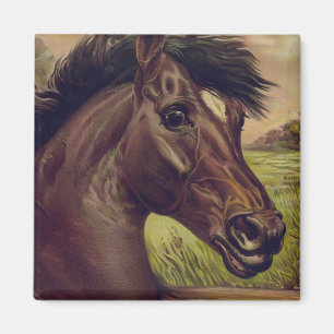 Horse Ranch Farm Land Pet Cute Animal Vintage Magnet