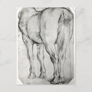 Horse Rear Vykort