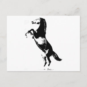 Horse Rearing Vykort