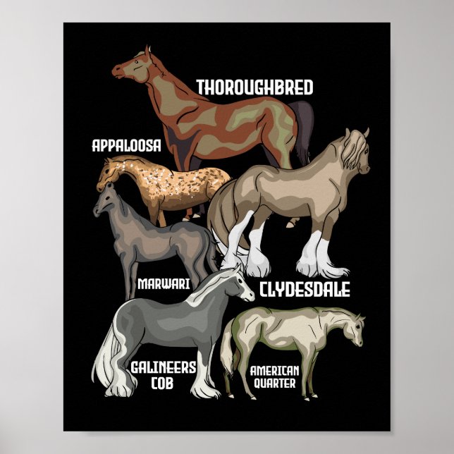 Horse Reds Horse Riding Gift Women Horses Poster (Framsidan)