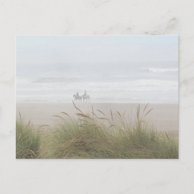 Horse Ride på Beach Postcard Vykort (Framsida)