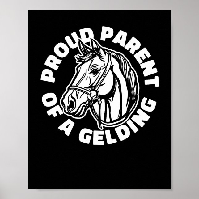Horse Rider Gelding - Horseback Horse Riding Poster (Framsidan)