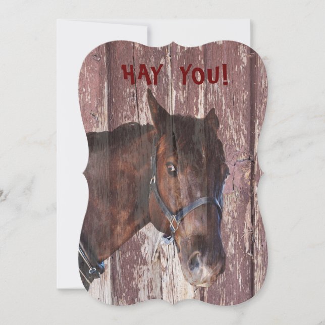 Horse ROLIGT FUNNY tittar på din födelsedag Kort (Framsida)