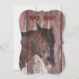 Horse ROLIGT FUNNY tittar på din födelsedag Kort