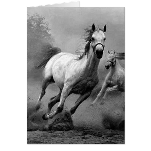 Horse Running Hälsningskort (Framsidan)
