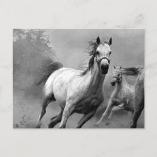Horse Running Helg Vykort
