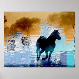 Horse Running i Vatten Poster
