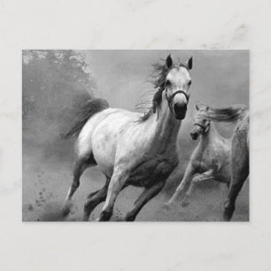 Horse Running Vykort