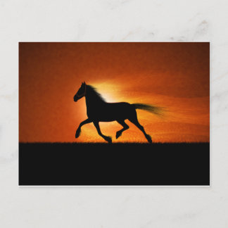 Horse Running Vykort