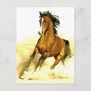 Horse Running Vykort
