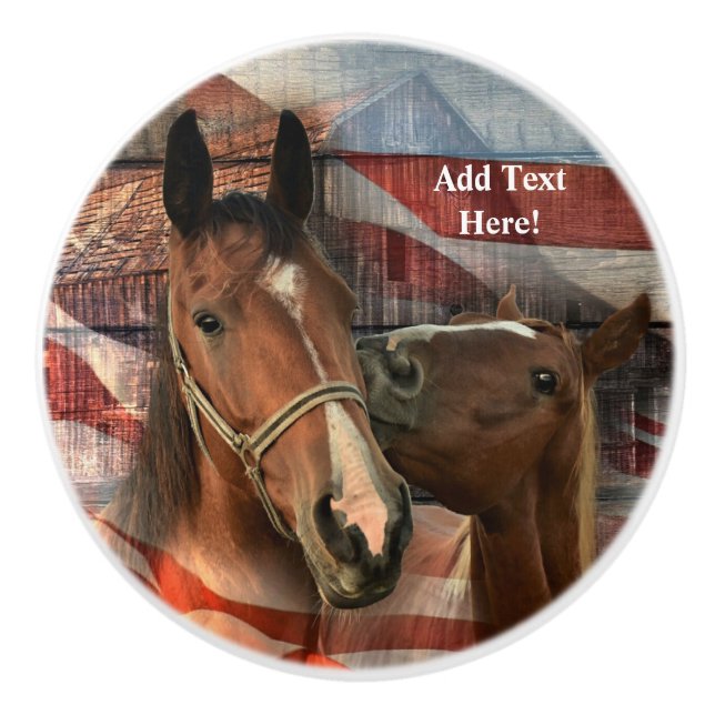 Horse Rustic Barn American Flagga Knopp (Framsidan)