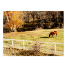 Horse Rustic Land Autumn Art