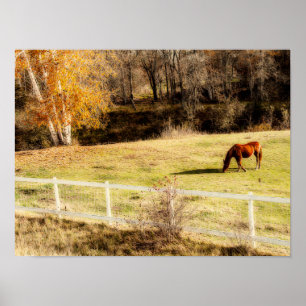 Horse Rustic Land Autumn Art Poster