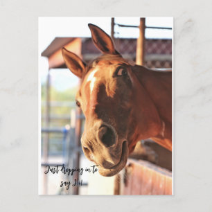 Horse säger hej poste card vykort