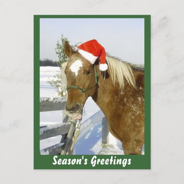 Horse Season Greetings Helg Vykort (Framsida)