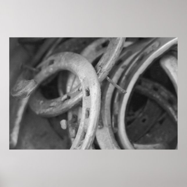 Horse Shoe Print Poster (Framsidan)