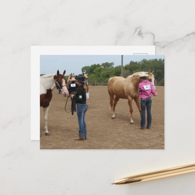 Horse Show Showmanship Paint and Palomino Vykort (Fram/Back In Situ)