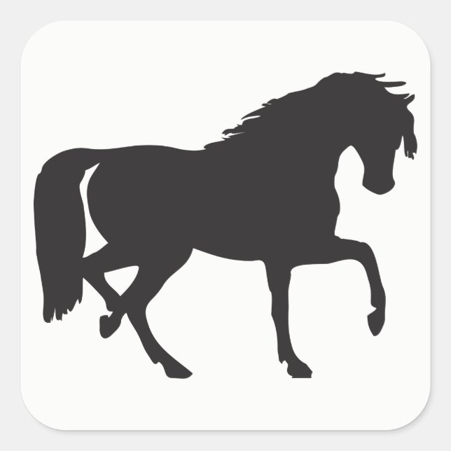 Horse Silhouette Fyrkantigt Klistermärke (Framsida)