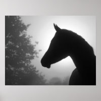 Horse silhouette i svartvitt