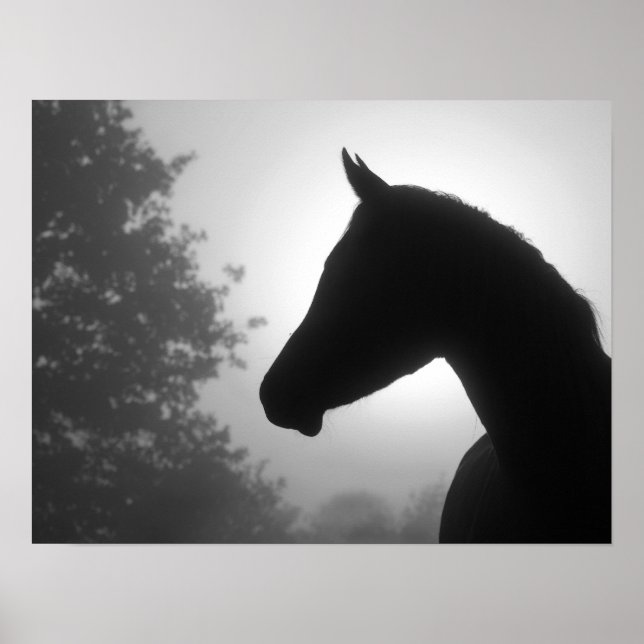 Horse silhouette i svartvitt poster (Framsidan)