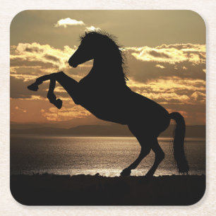 Horse Silhouette Mot solnedgången Underlägg Papper Kvadrat