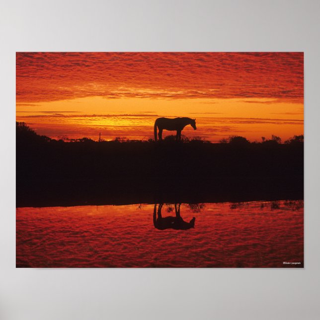 Horse Silhouette mot Sunset Himlar Poster (Framsidan)