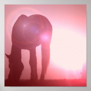 Horse Silhouette Poster Skriv ut