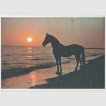 Horse Silhouette Sunset by Ocean Decoupage