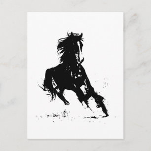 Horse Silhouette Vykort