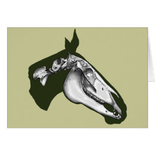 Horse Skeleton Hälsningskort