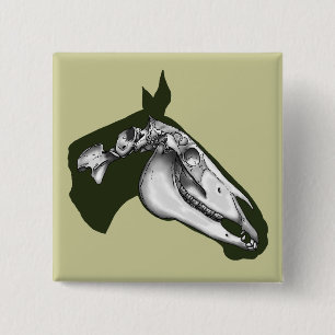 Horse Skeleton Knapp