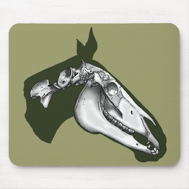 Horse Skeleton Musmatta (Framsidan)