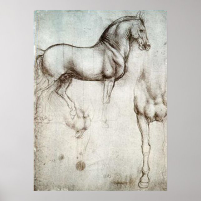 Horse Sketch Poster (Framsidan)