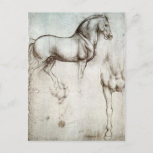 Horse Sketch Vykort