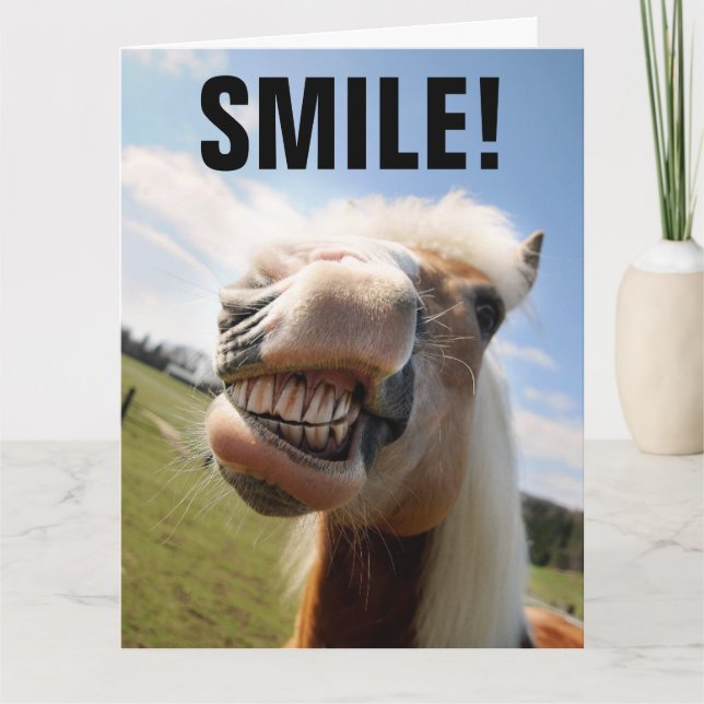 HORSE SMILING FUNNY BIRTHDAY GREETING CARD KORT (Framsida)