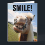 HORSE SMILING FUNNY BIRTHDAY GREETING CARD KORT<br><div class="desc">SMILE! DET ÄR DIN BIRTHDAY! SMILJÖFARTSKORT</div>