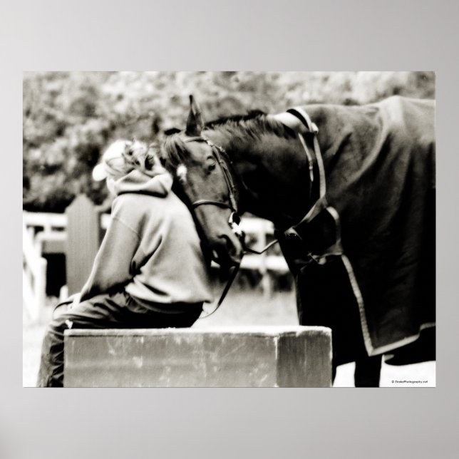 Horse Snuggles Poster (Framsidan)