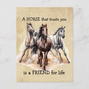 HORSE som litar på FRIEND för livsoffert Vykort