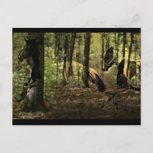 Horse Spirit Postcards Vykort