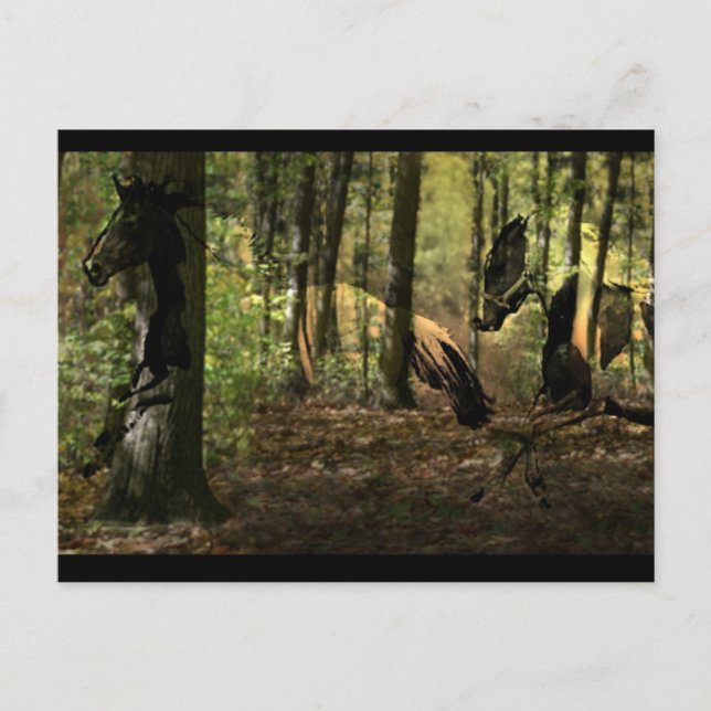 Horse Spirit Postcards Vykort (Framsida)