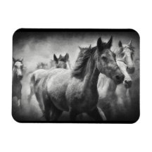 Horse Stampede Magnet