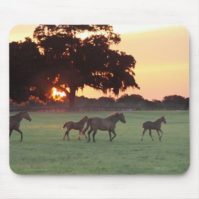 Horse Sunset Art Mousepad Musmatta (Framsidan)