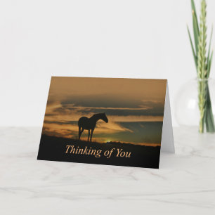 Horse Sunset Nature Thinking of You Hej Kort