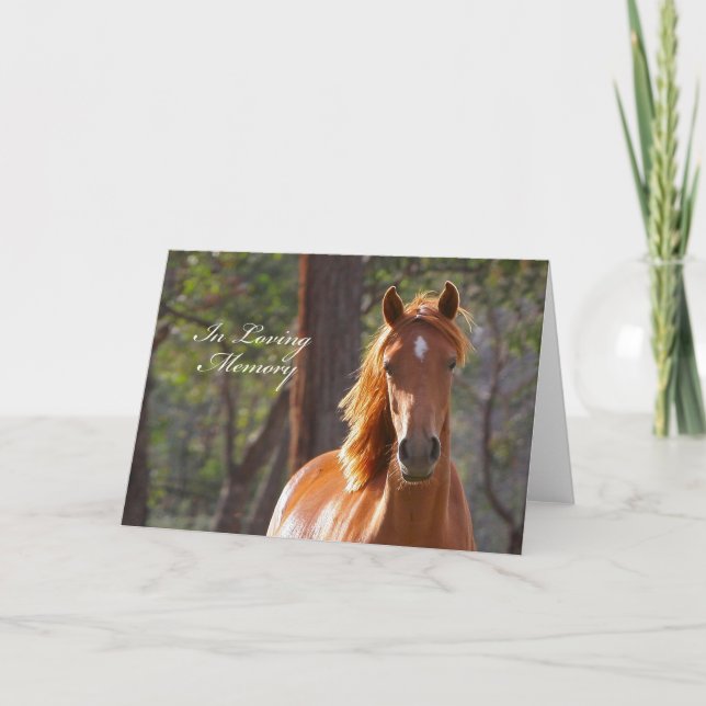 Horse Sympathy Card Kort (Framsida)