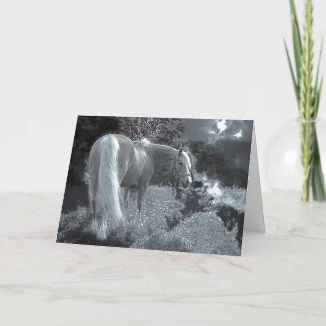 Horse Sympathy Kort (Framsida)