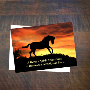 Horse Sympathy Loss of Horse Kort