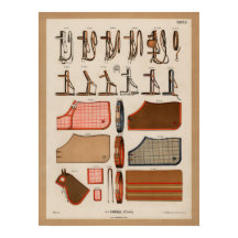 Horse Tack