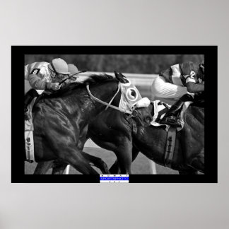 Horse Tävla 002 B&W Mowat SpPh Poster