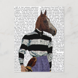 Horse Tävla Jockey Porträtt Vykort